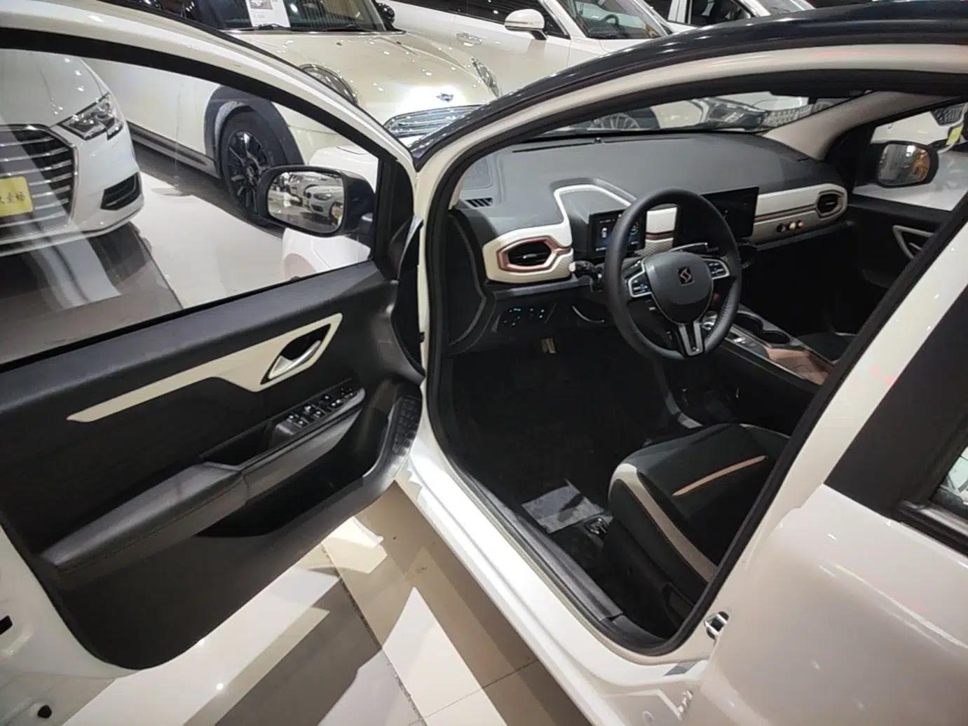 SOL E10X 2021 302 km Range Fashion Edition 31.4 kWh — миниатюра 18