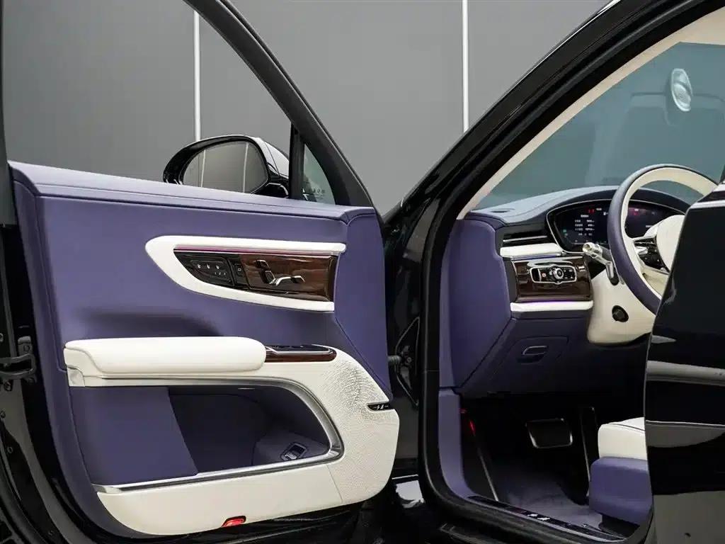 Hongqi Golden Sunflower Elegant 2024 Model 4.0T V8 — миниатюра 11