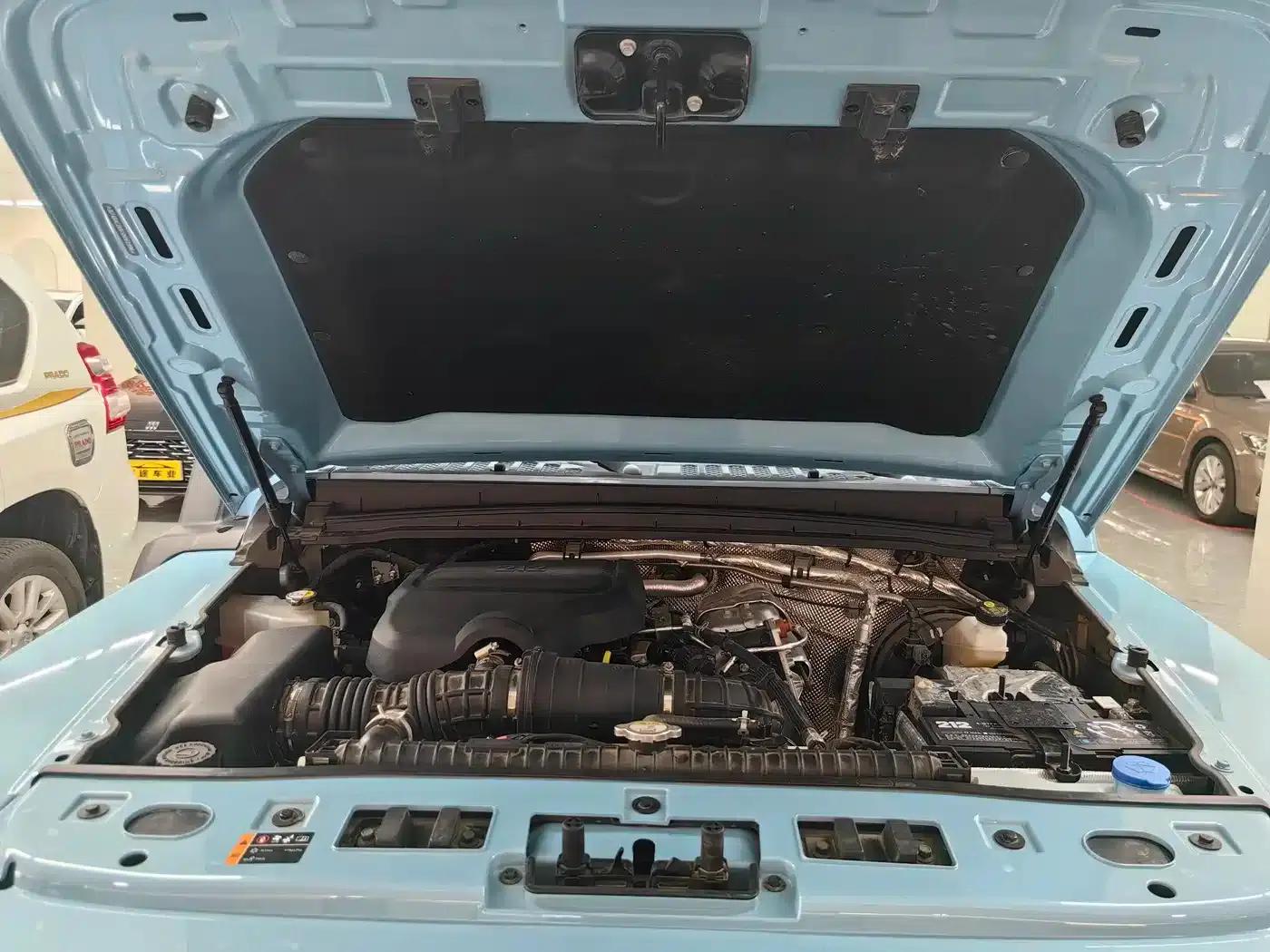 212 T01 2025 Changfeng 2.0T — миниатюра 14