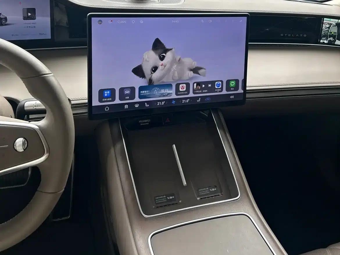 Enjoy S9 2025 Range Extended Ultra — миниатюра 8