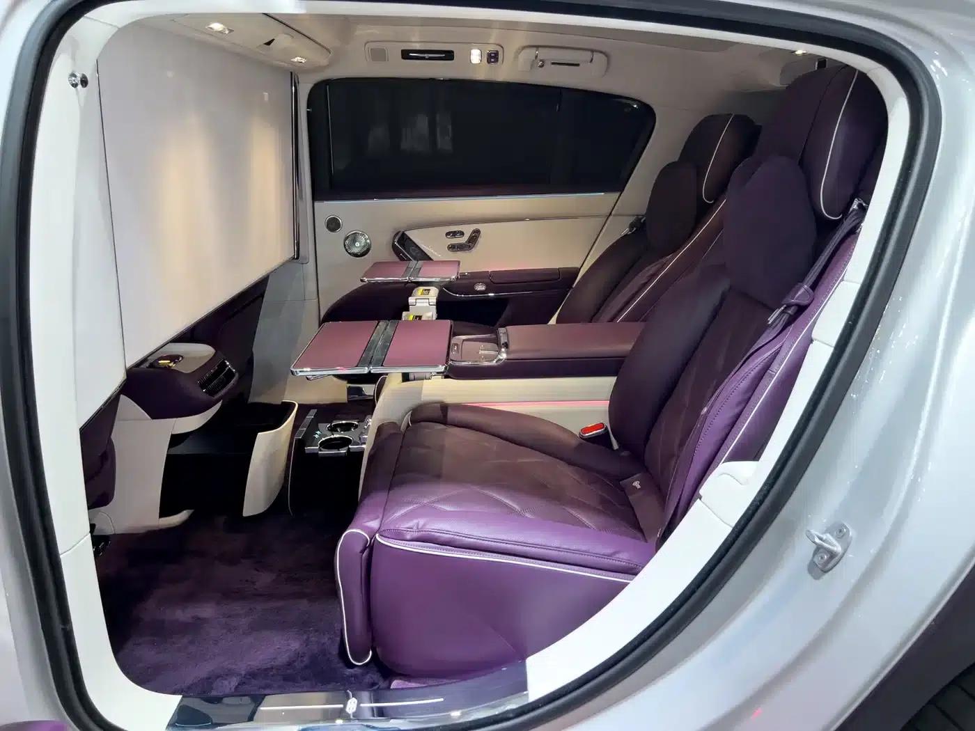 2025 S800 Premium Range Extended Star Executive Edition 4-seater (192-line LiDAR) — миниатюра 24