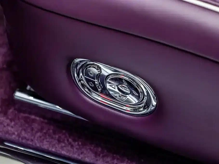 2025 S800 Premium Range Extended Star Executive Edition 4-seater (192-line LiDAR) — миниатюра 14