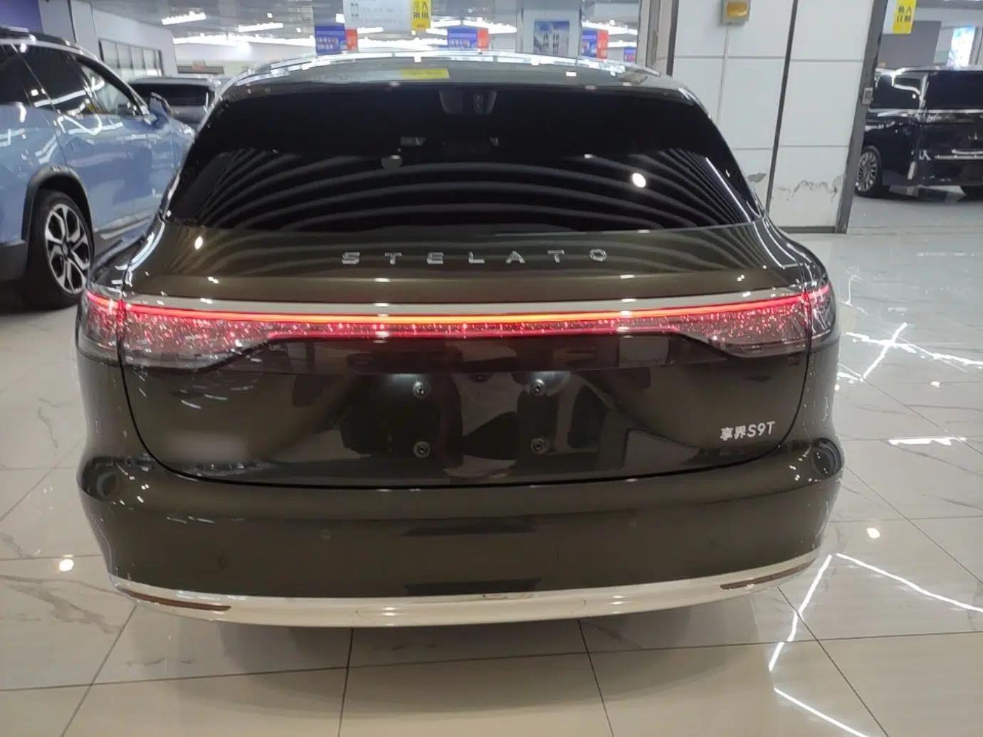Hima Stelato S9T 2025 Model Pure Electric Rear-Drive Max — миниатюра 5