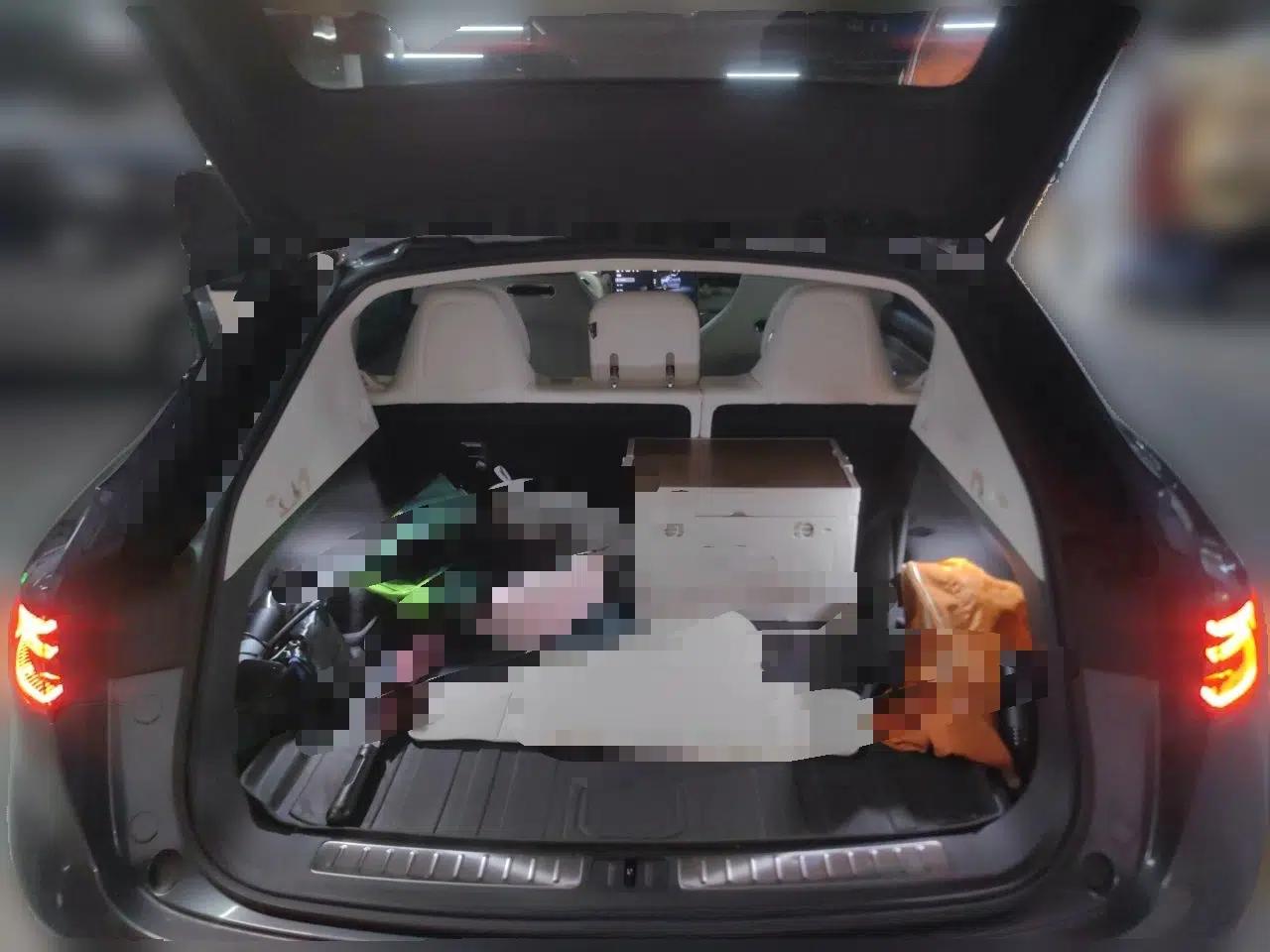 Hima Luxeed R7 2024 Pure Electric 667km Pro — миниатюра 19