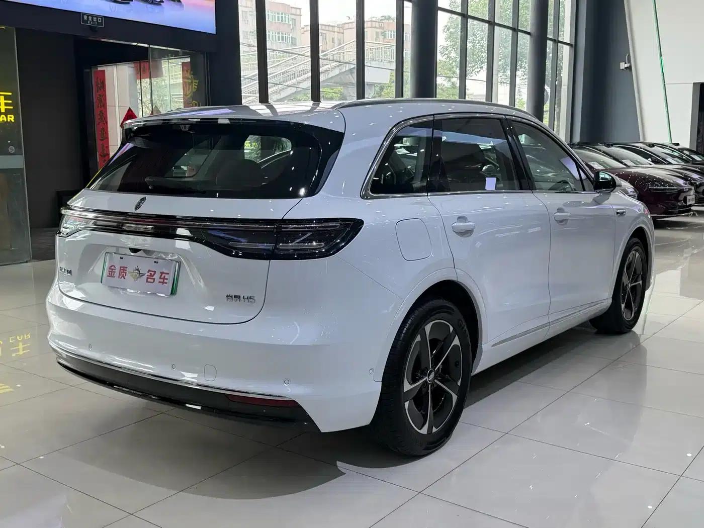 2025 Shangjie H5 Extended Range Max — миниатюра 15