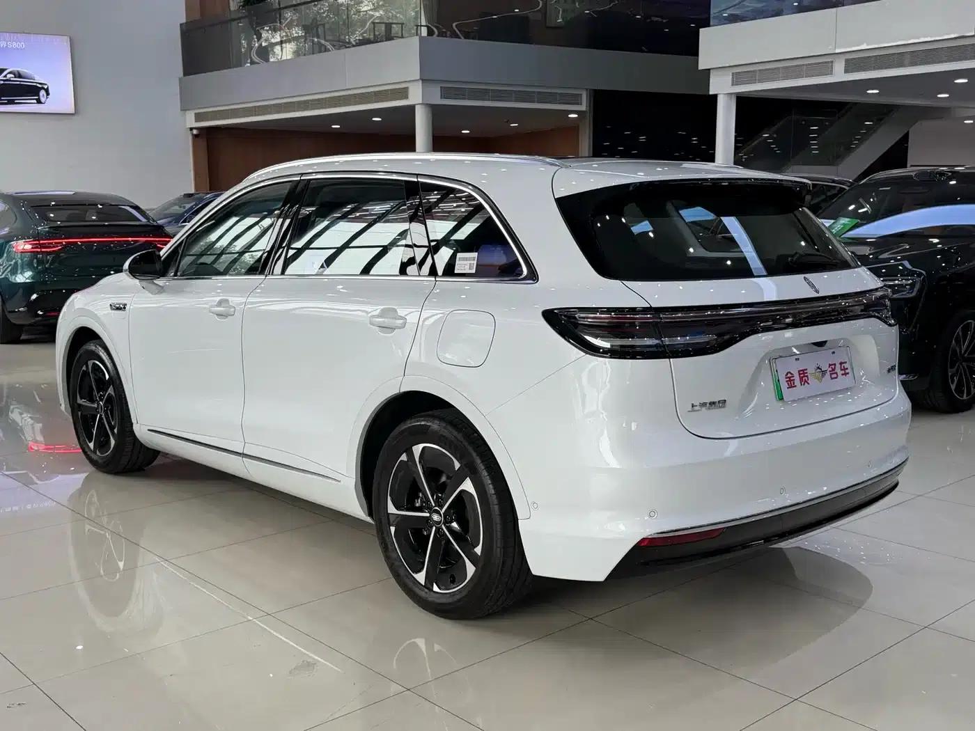 2025 Shangjie H5 Extended Range Max — миниатюра 16