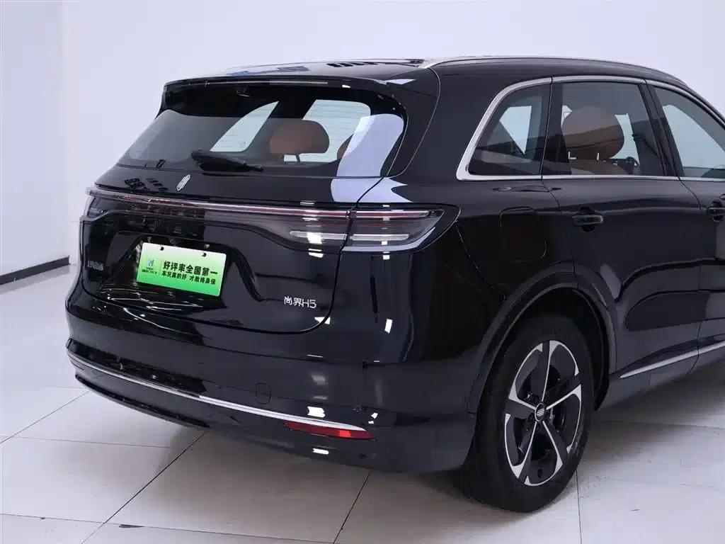 2025 Shangjie H5 Extended Range Max — миниатюра 8