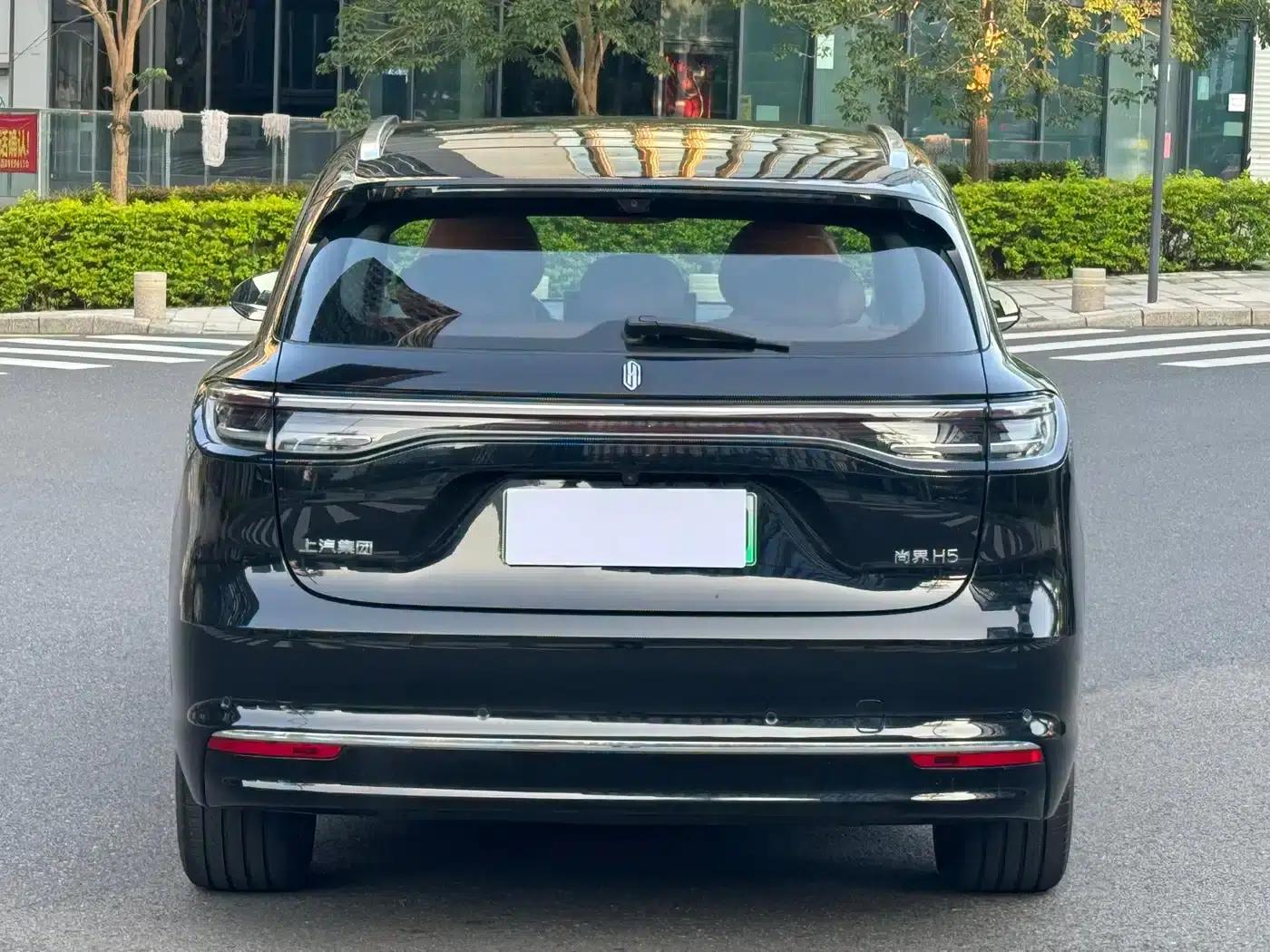 2025 Shangjie H5 Extended Range Max — миниатюра 6
