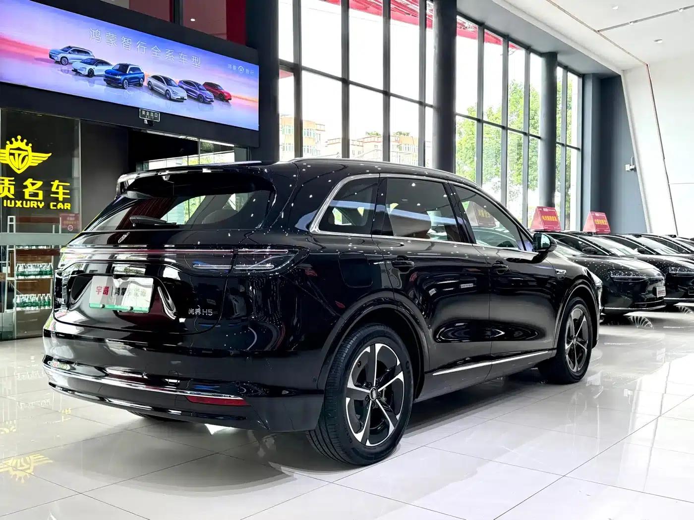 2025 Shangjie H5 Extended Range Max — миниатюра 19
