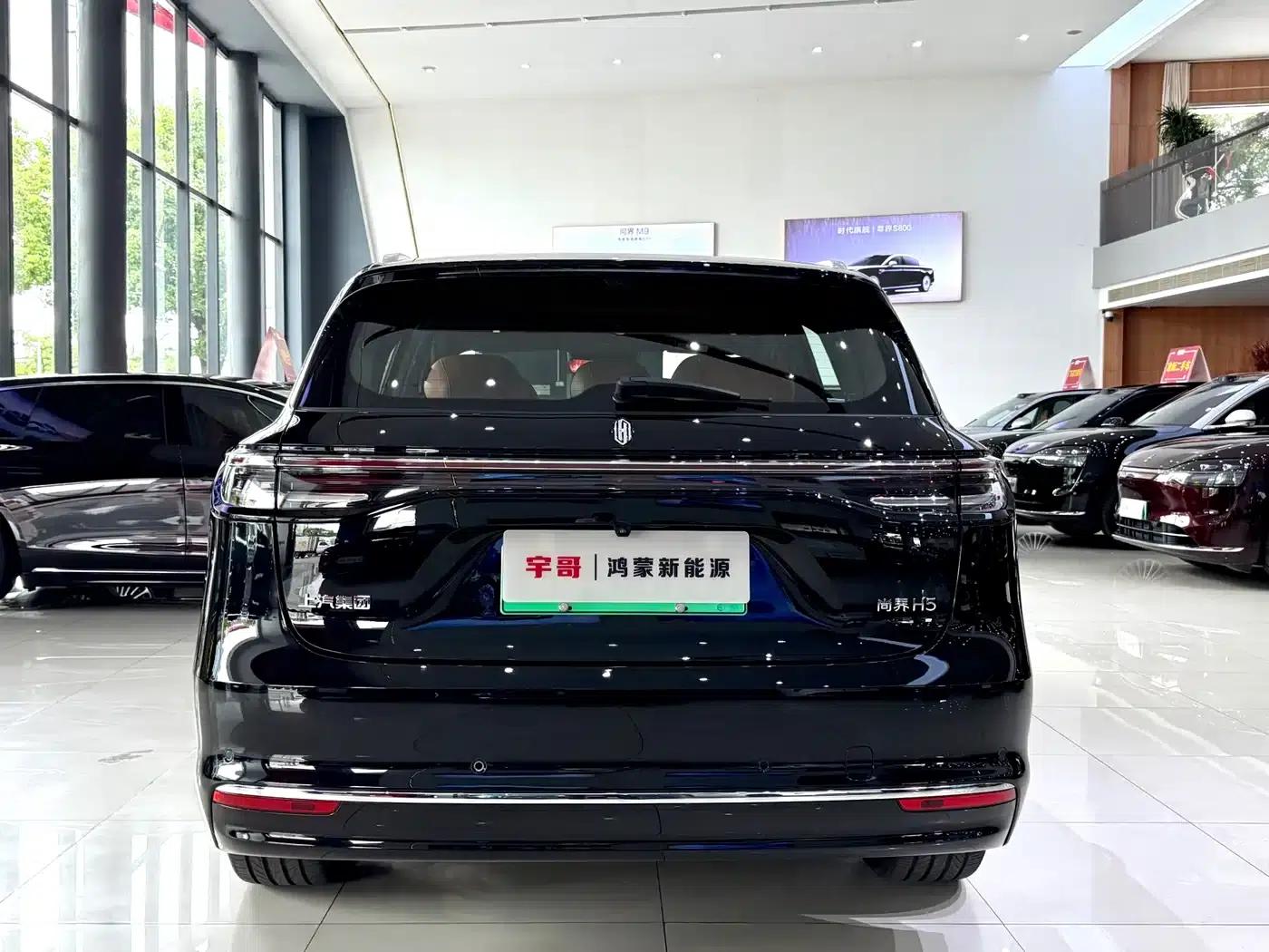 2025 Shangjie H5 Extended Range Max — миниатюра 20