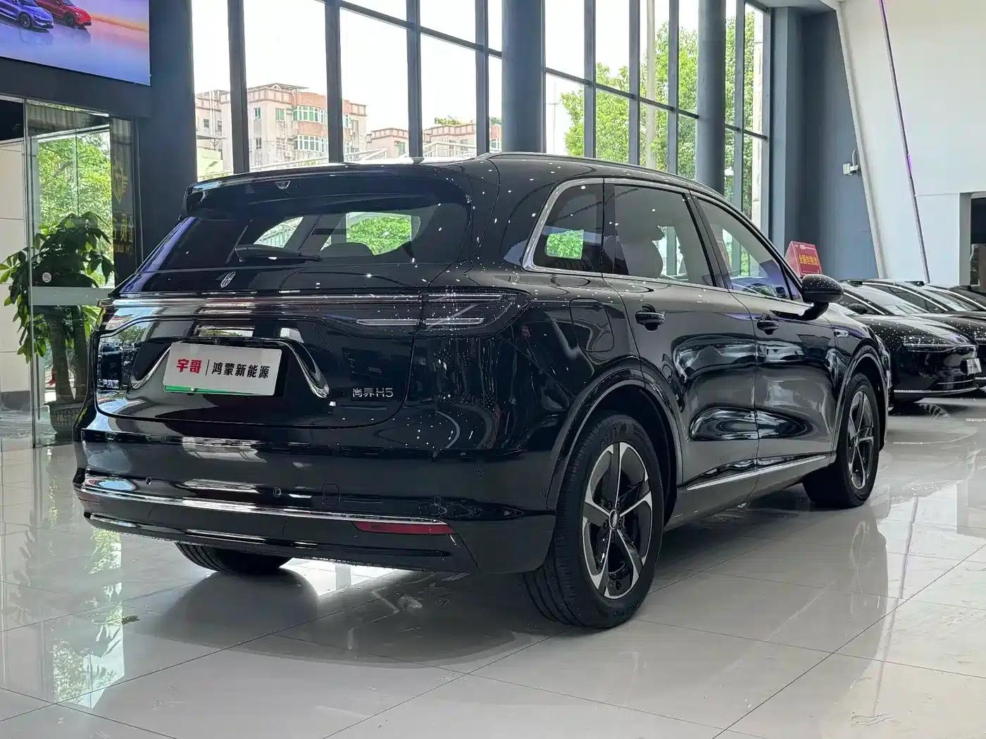2025 Shangjie H5 Extended Range Max — миниатюра 15