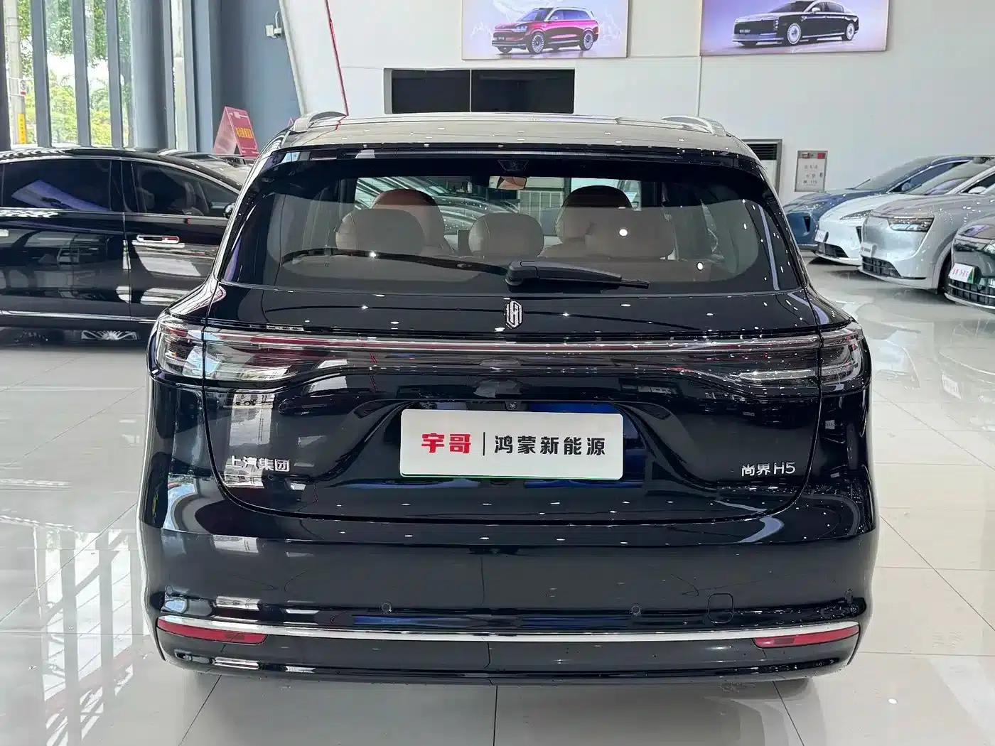 2025 Shangjie H5 Extended Range Max — миниатюра 16