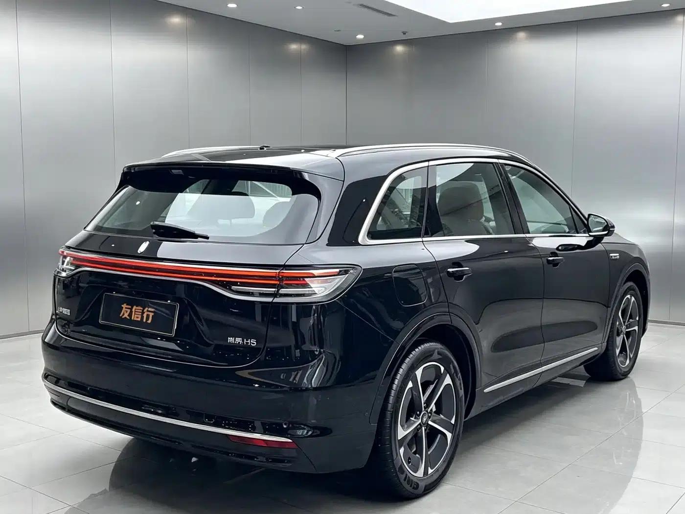 2025 Shangjie H5 Extended Range Max — миниатюра 5