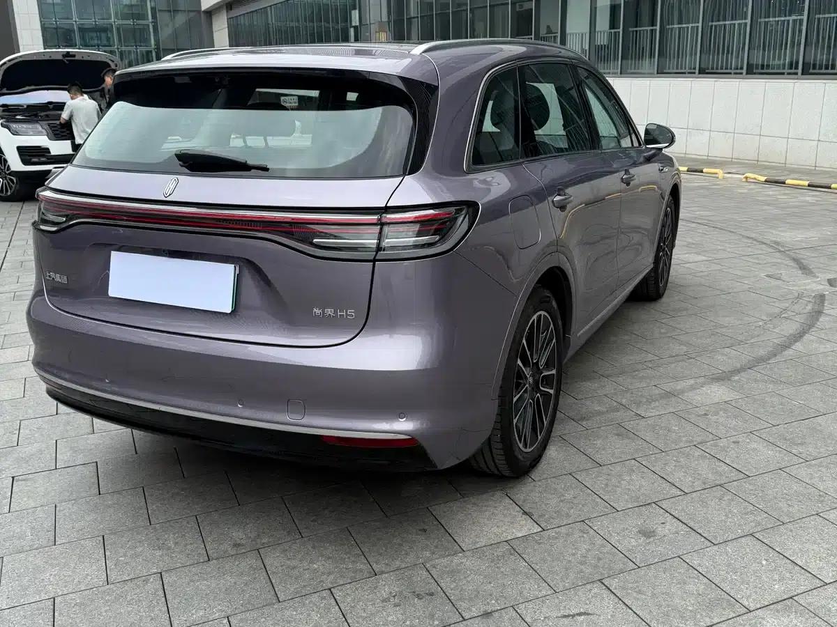 2025 Shangjie H5 Extended Range Max — миниатюра 12