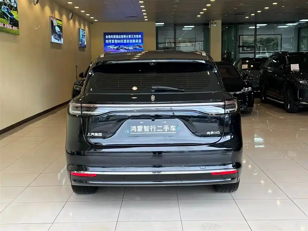 2025 Shangjie H5 Extended Range Max — миниатюра 8