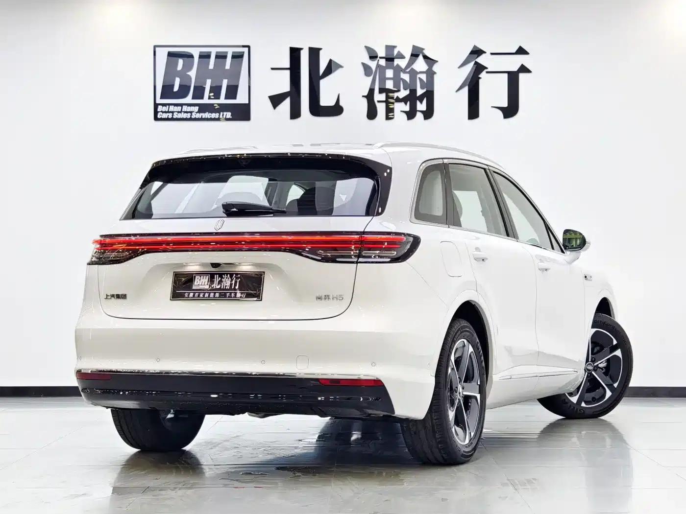 2025 Shangjie H5 Extended Range Max — миниатюра 4