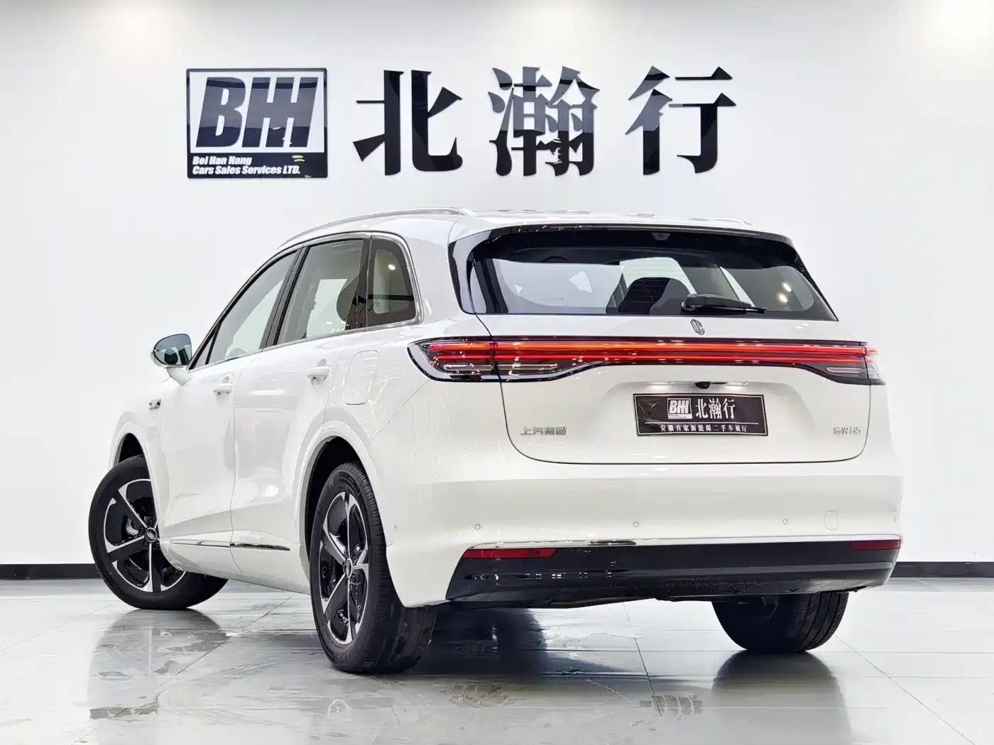 2025 Shangjie H5 Extended Range Max — миниатюра 6