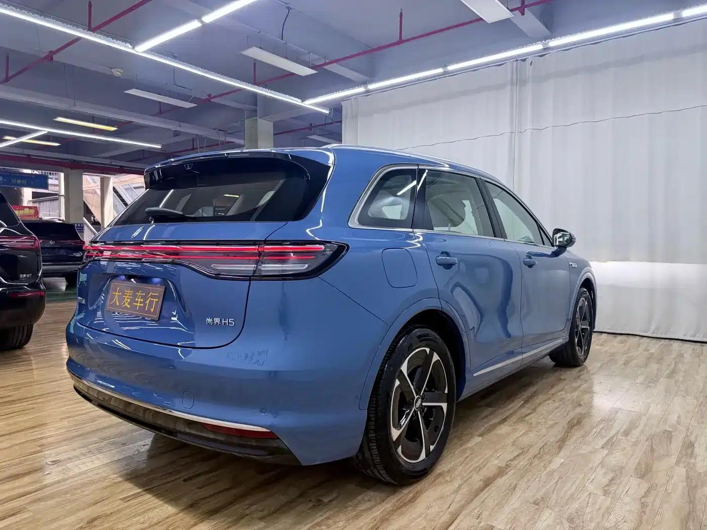 2025 Shangjie H5 Extended Range Max — миниатюра 6