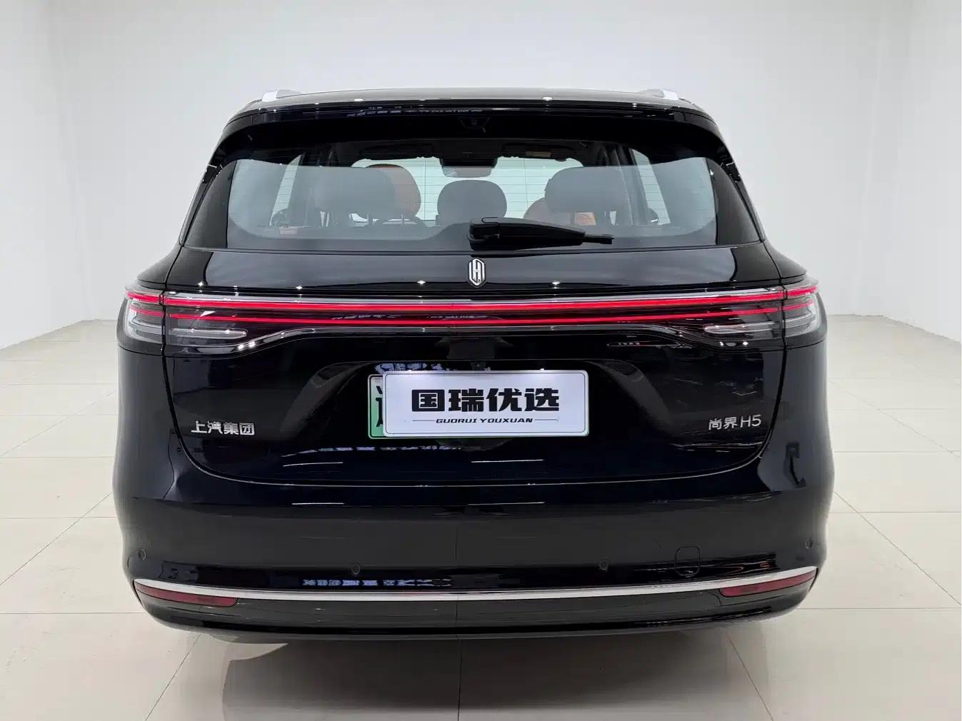 2025 Shangjie H5 Extended Range Max — миниатюра 5