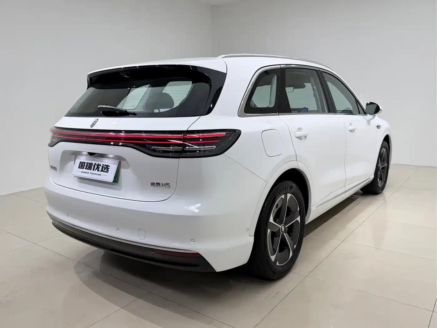 2025 Shangjie H5 Extended Range Max — миниатюра 6