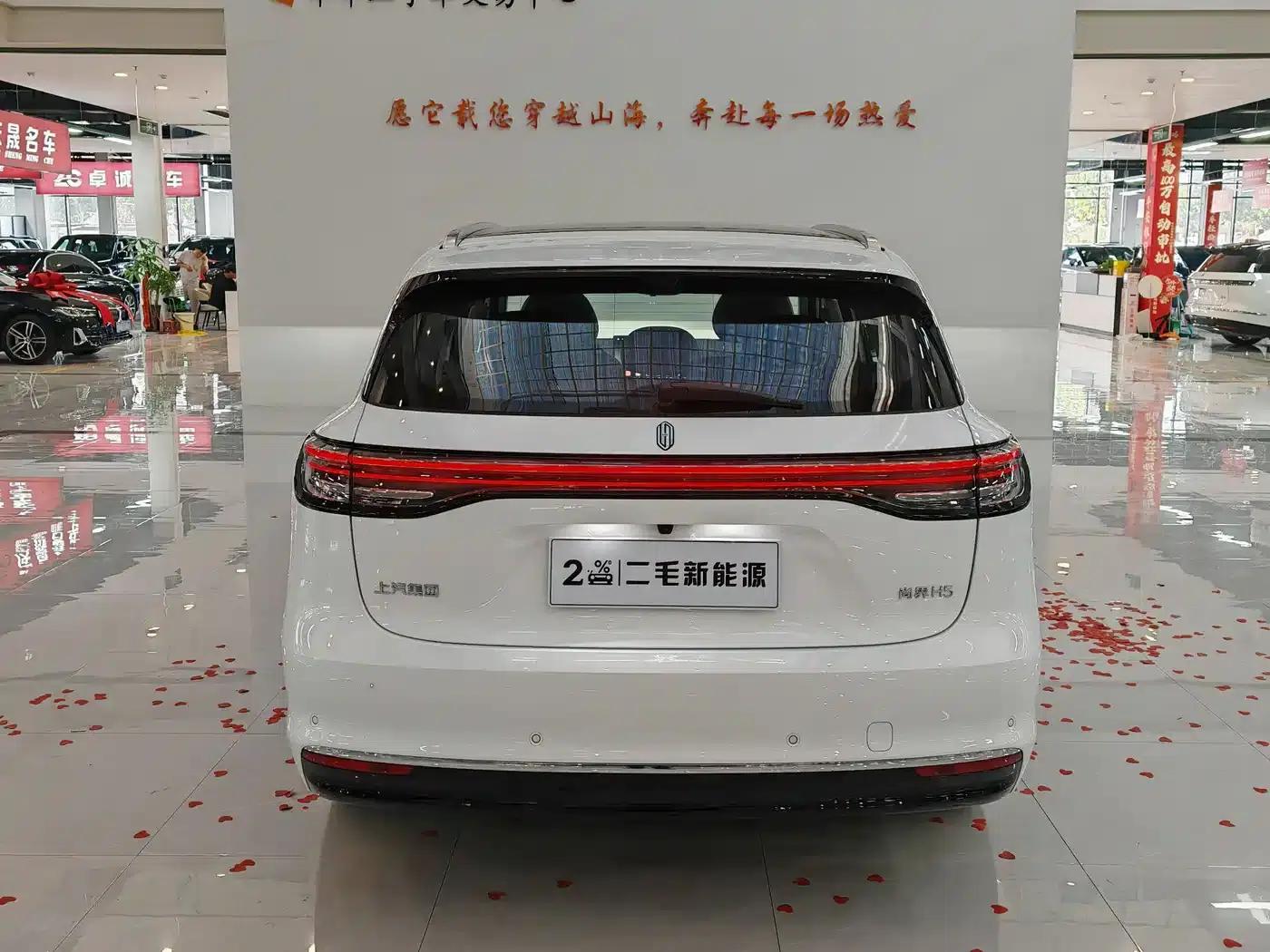 2025 Shangjie H5 Extended Range Max — миниатюра 6