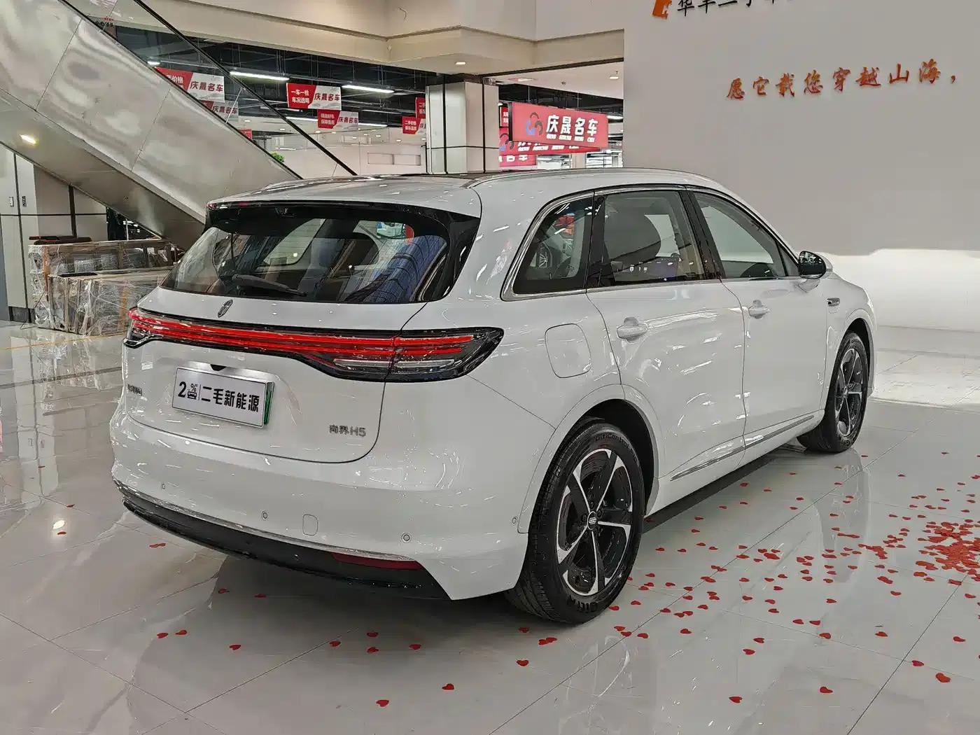 2025 Shangjie H5 Extended Range Max — миниатюра 7