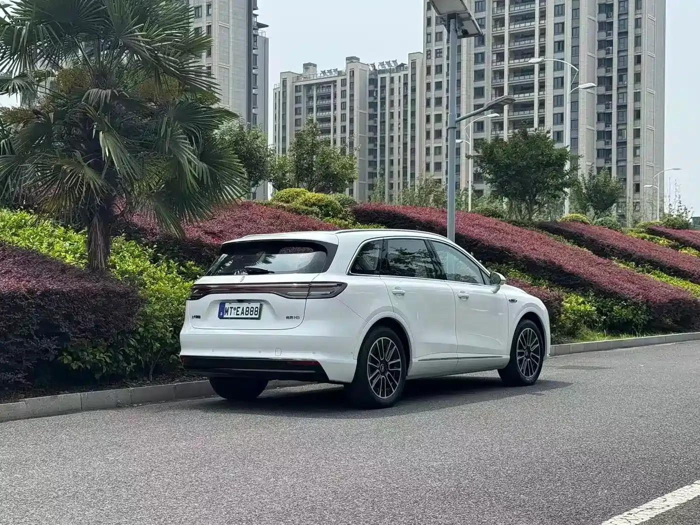 Shangjie H5 2025 Pure Electric Max — миниатюра 6