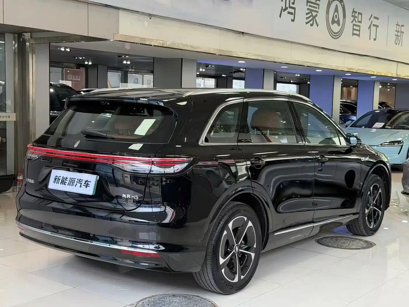 2025 Shangjie H5 Extended Range Max — миниатюра 5