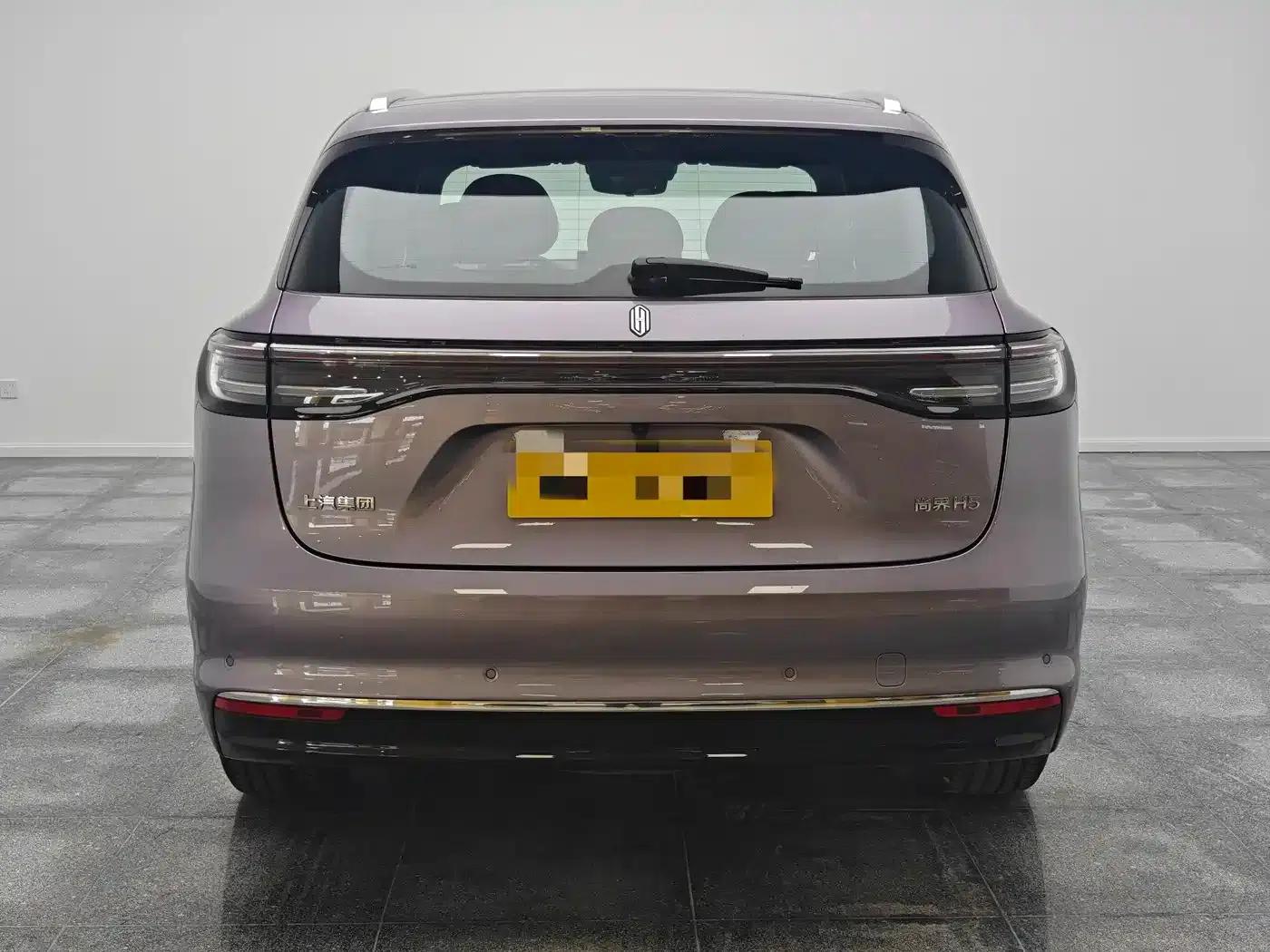2025 Shangjie H5 Extended Range Max — миниатюра 6