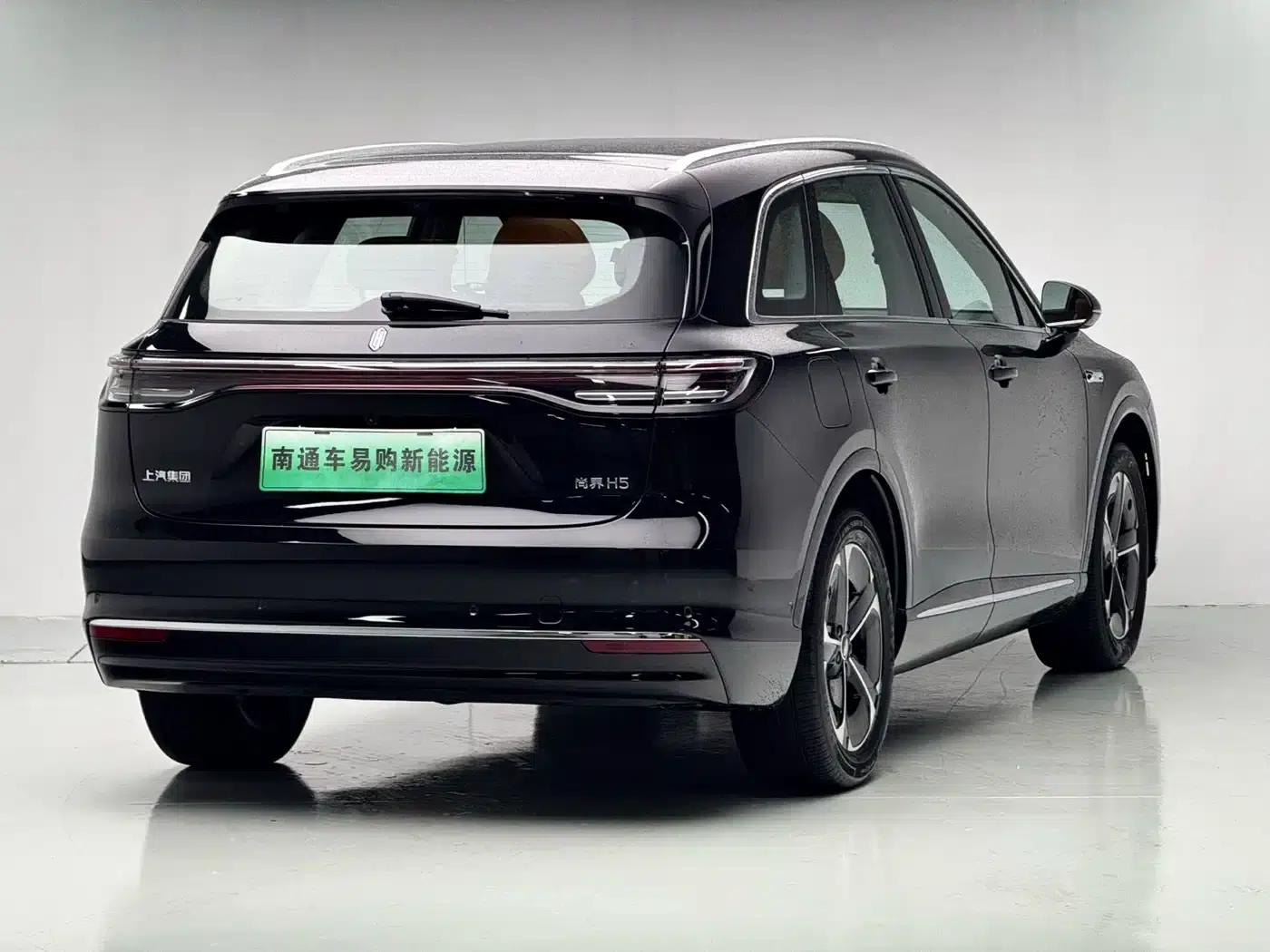 2025 Shangjie H5 Extended Range Max — миниатюра 6