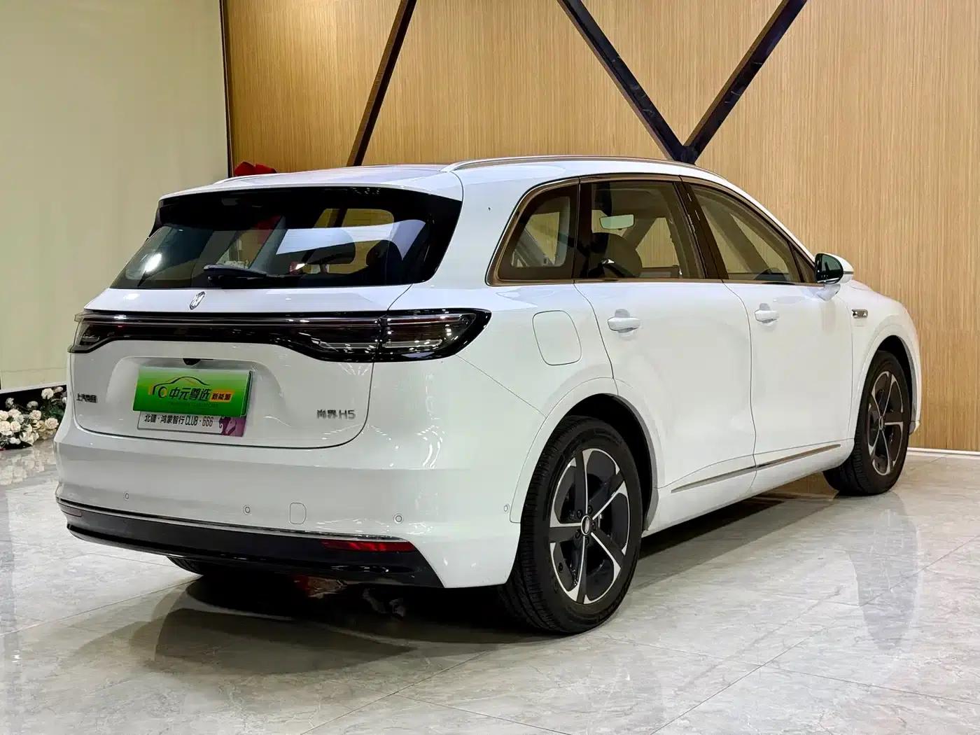 2025 Shangjie H5 Extended Range Max — миниатюра 17