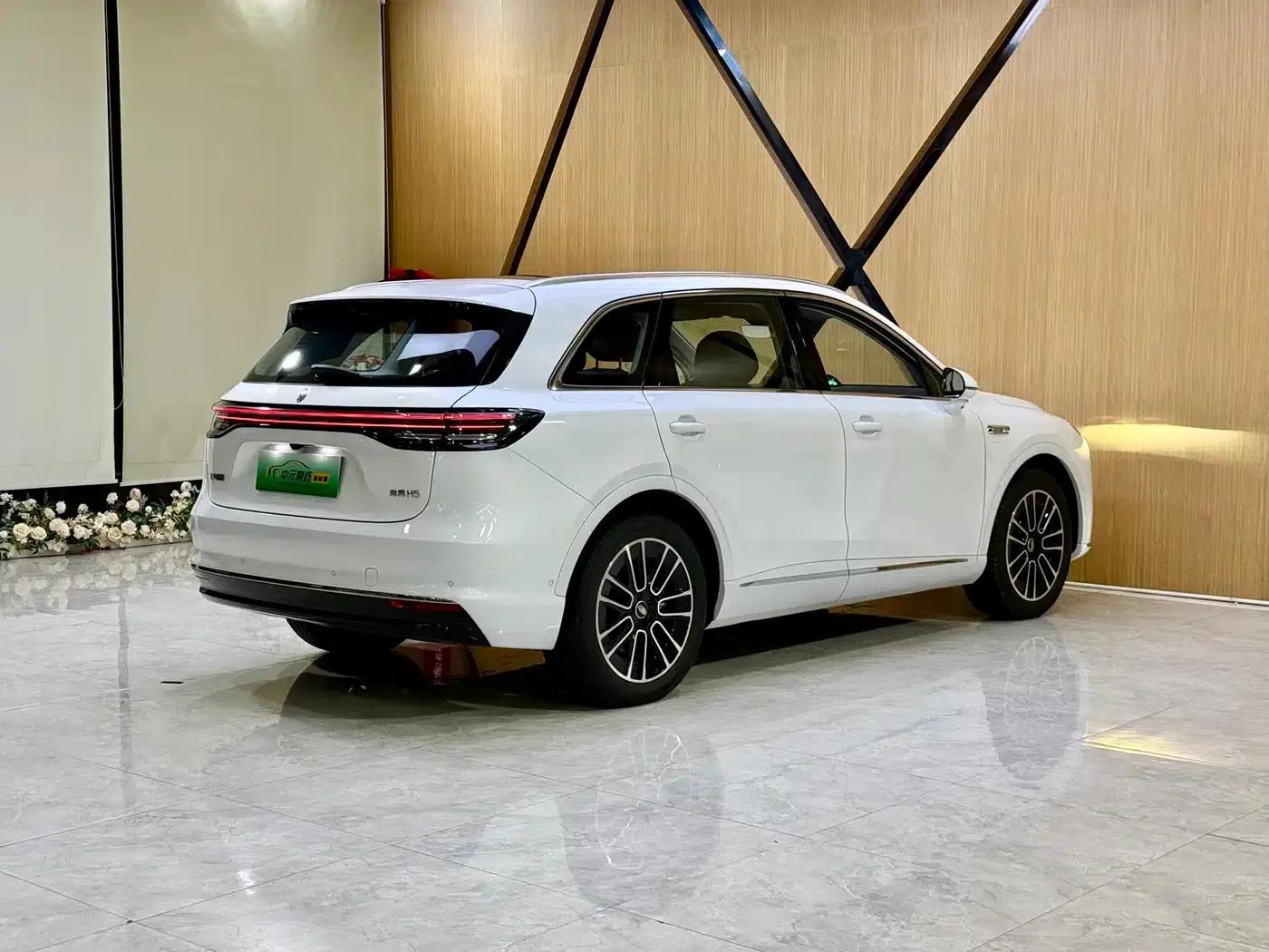 Shangjie H5 2025 Pure Electric Max Long Range — миниатюра 18