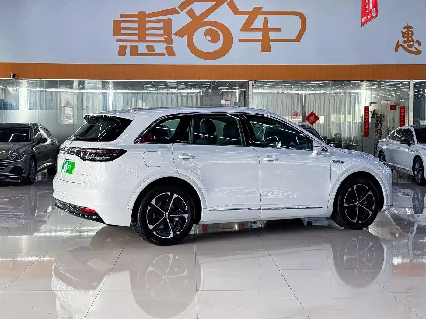 2025 Shangjie H5 Extended Range Max — миниатюра 23