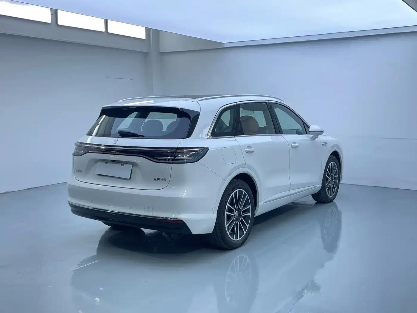 2025 Shangjie H5 Extended Range Max — миниатюра 16