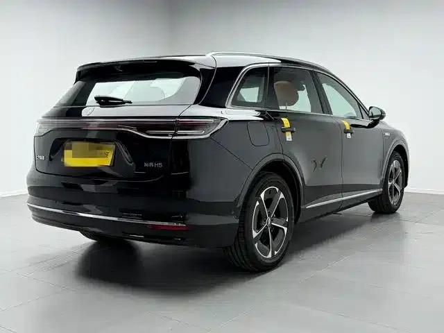 2025 Shangjie H5 Extended Range Max — миниатюра 6