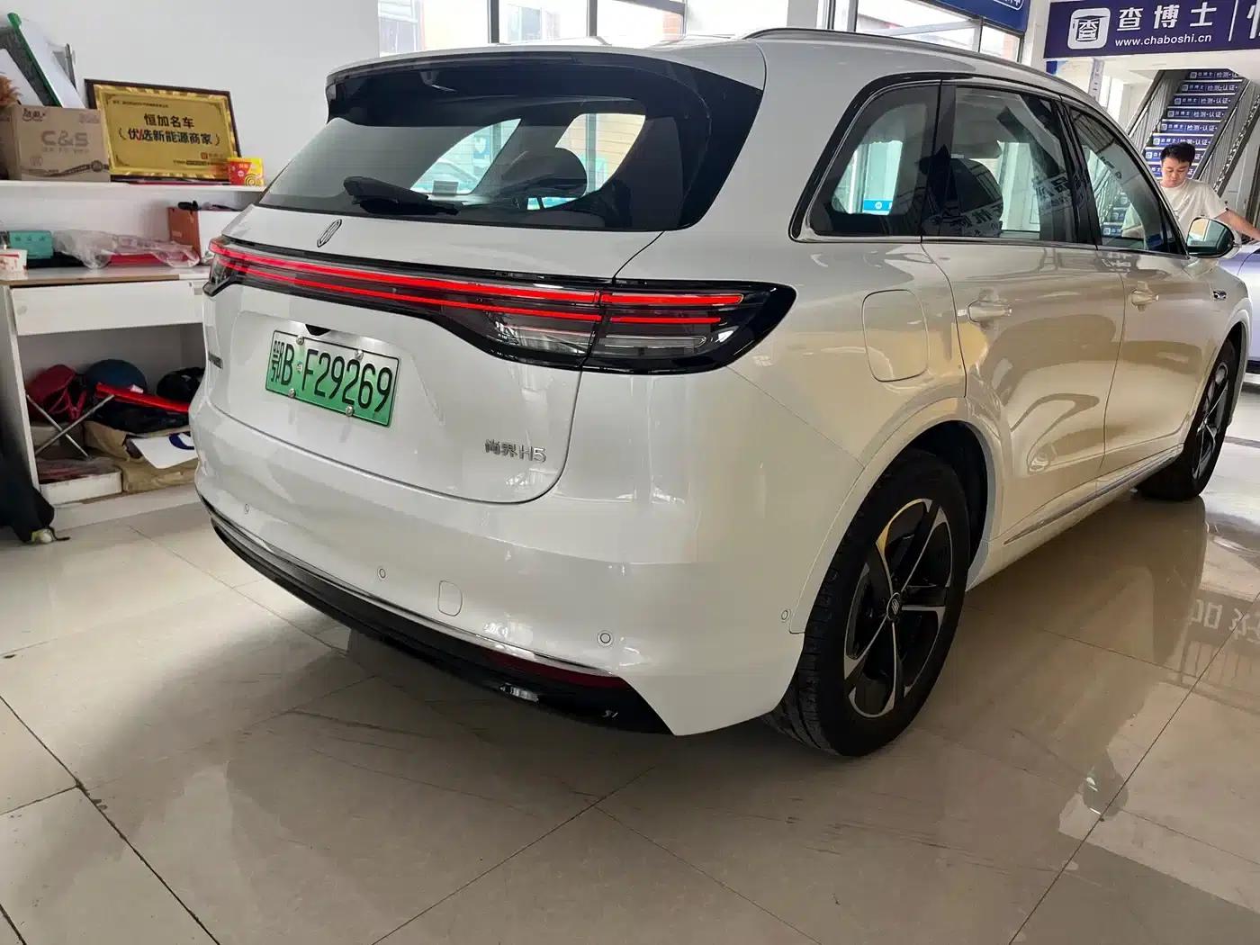 2025 Shangjie H5 Extended Range Max — миниатюра 14
