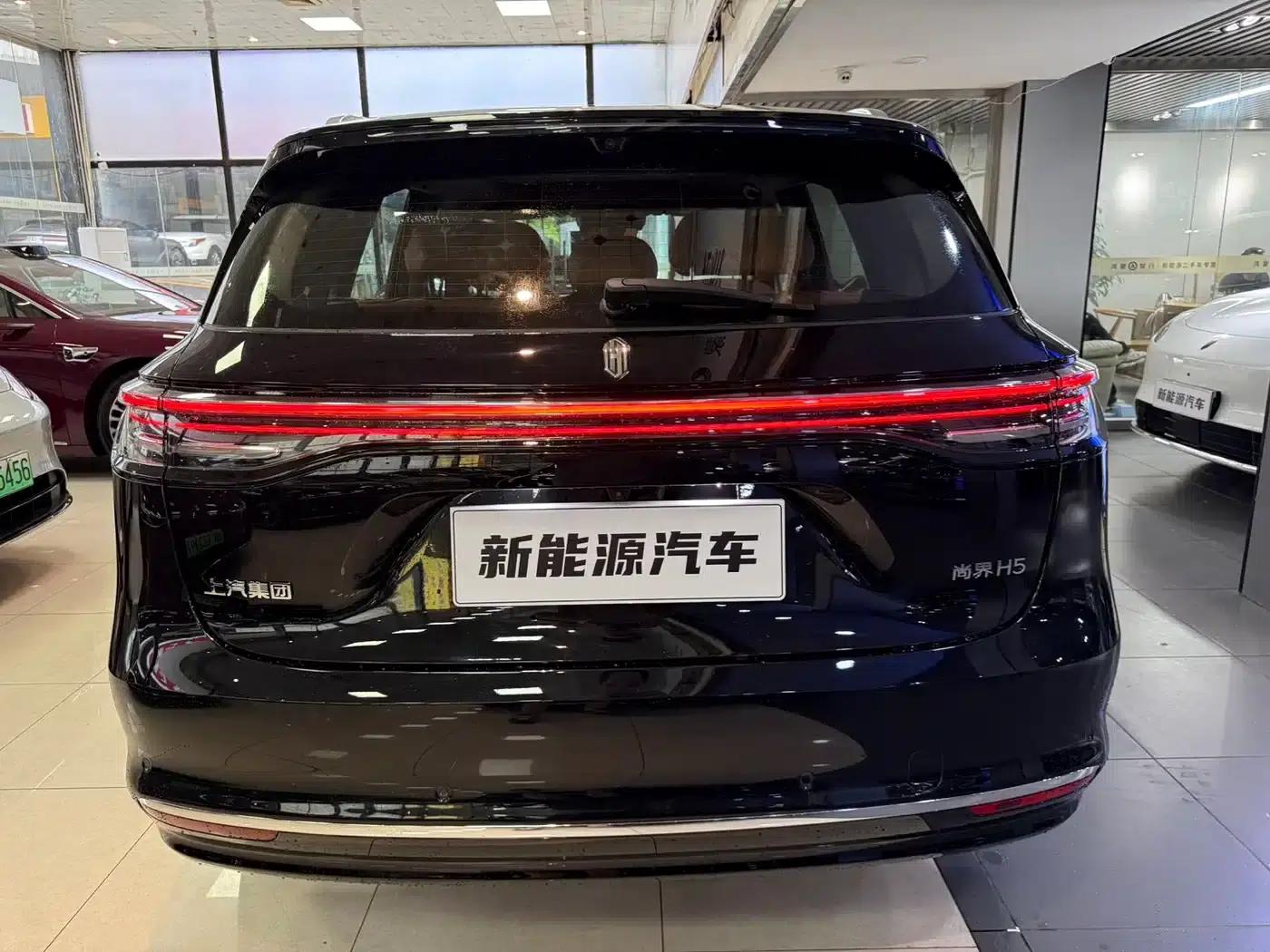 2025 Shangjie H5 Extended Range Max — миниатюра 5