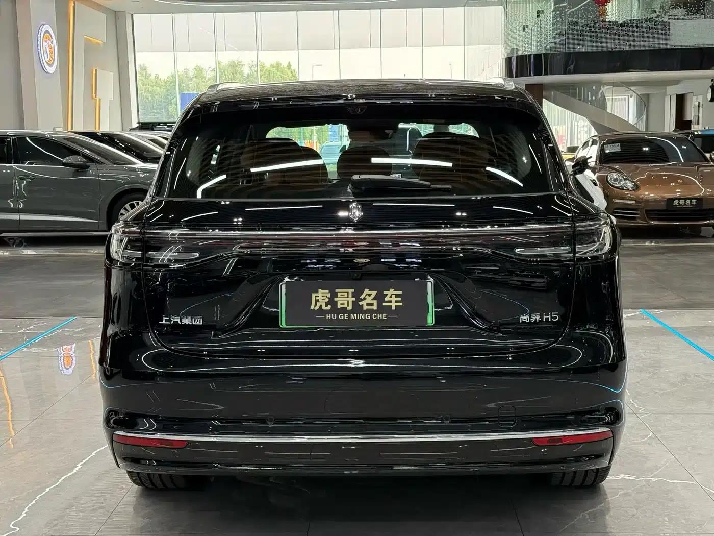 2025 Shangjie H5 Extended Range Max — миниатюра 8