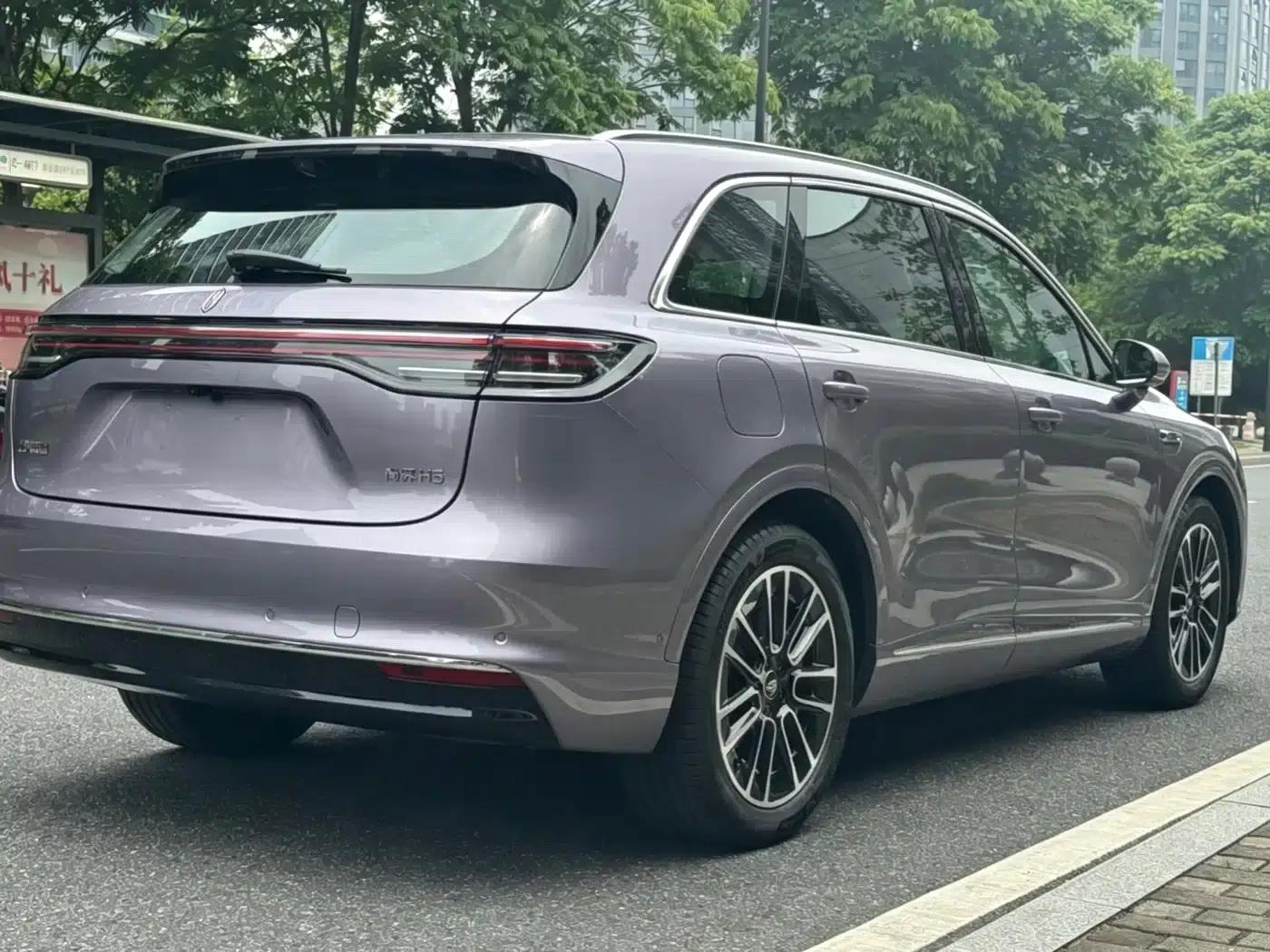 2025 Shangjie H5 Extended Range Max — миниатюра 6