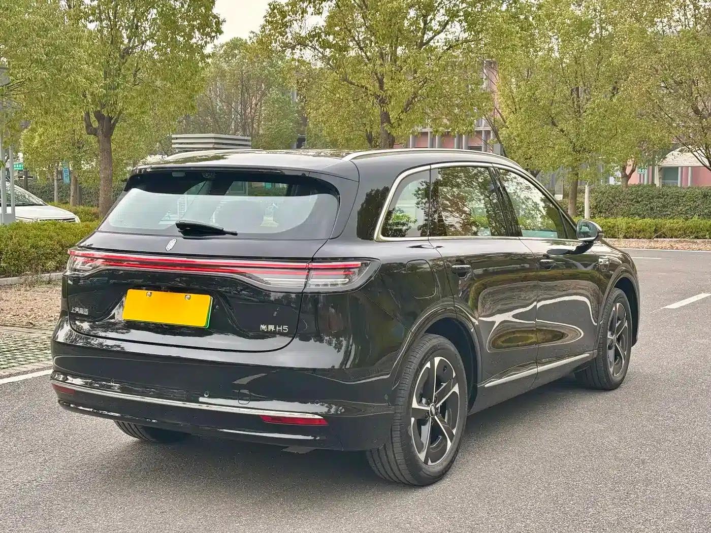 2025 Shangjie H5 Extended Range Max — миниатюра 7