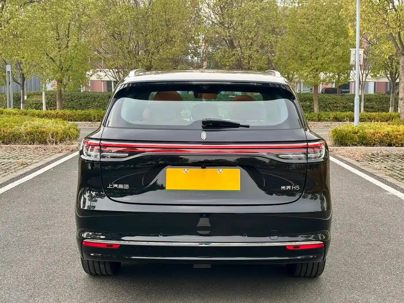 2025 Shangjie H5 Extended Range Max — миниатюра 8