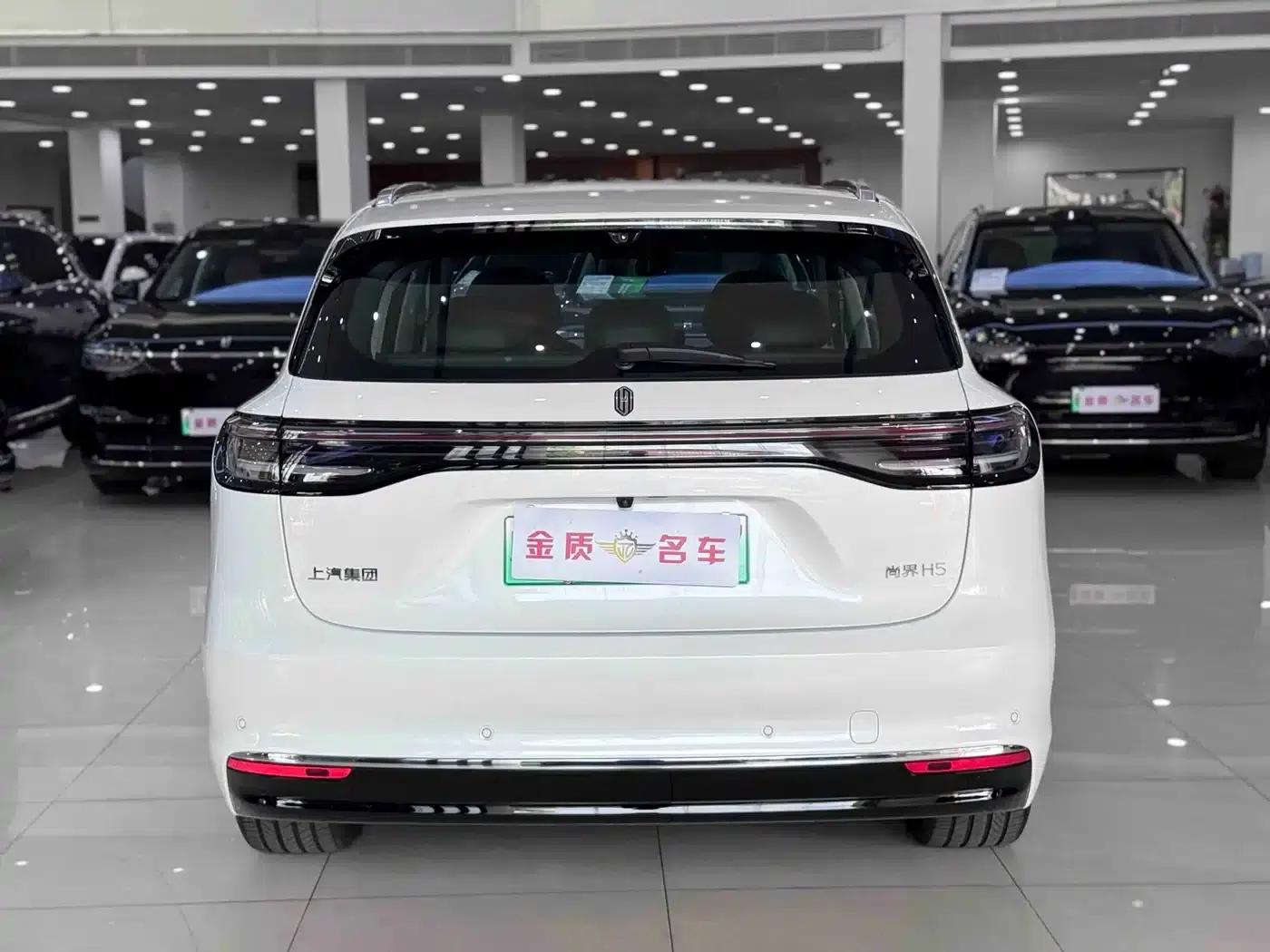 2025 Shangjie H5 Extended Range Max — миниатюра 14
