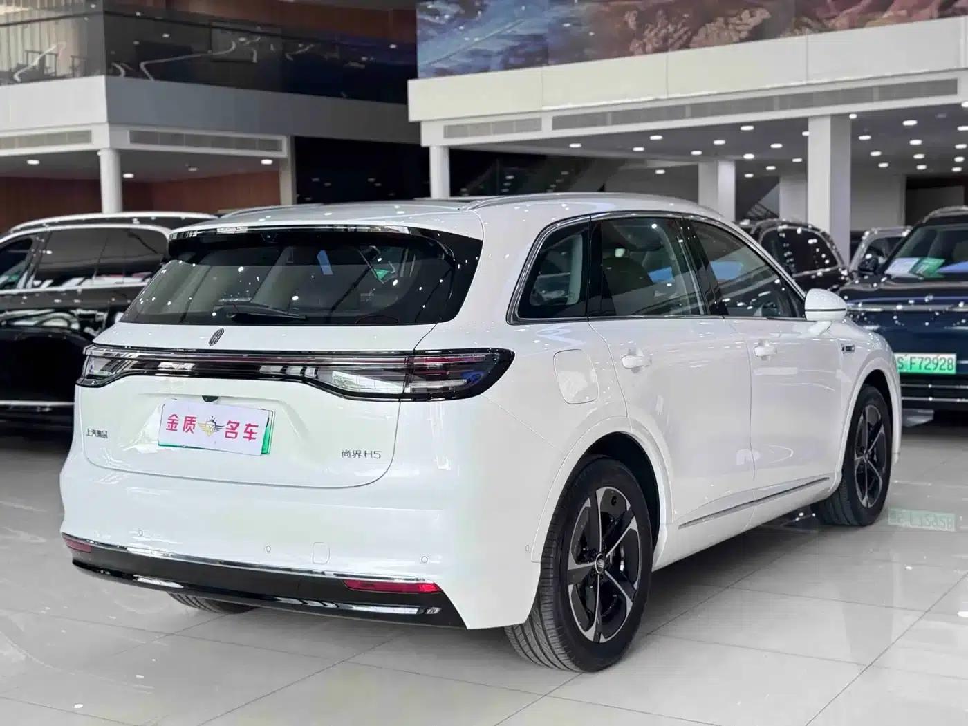 2025 Shangjie H5 Extended Range Max — миниатюра 16