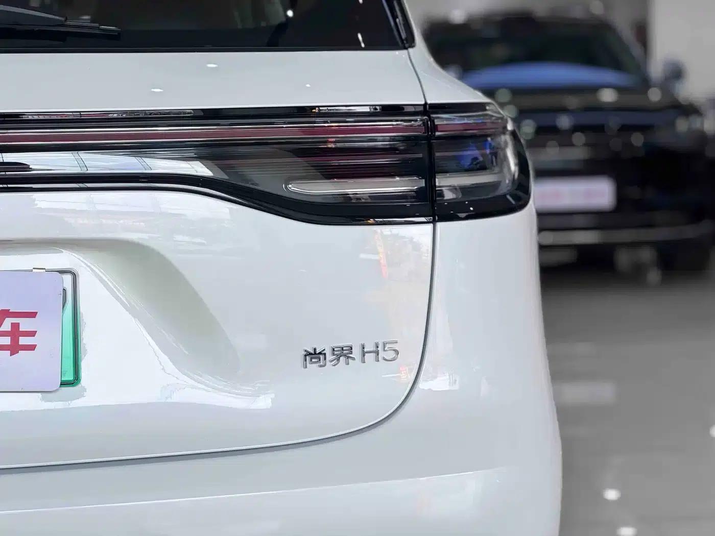 2025 Shangjie H5 Extended Range Max — миниатюра 17