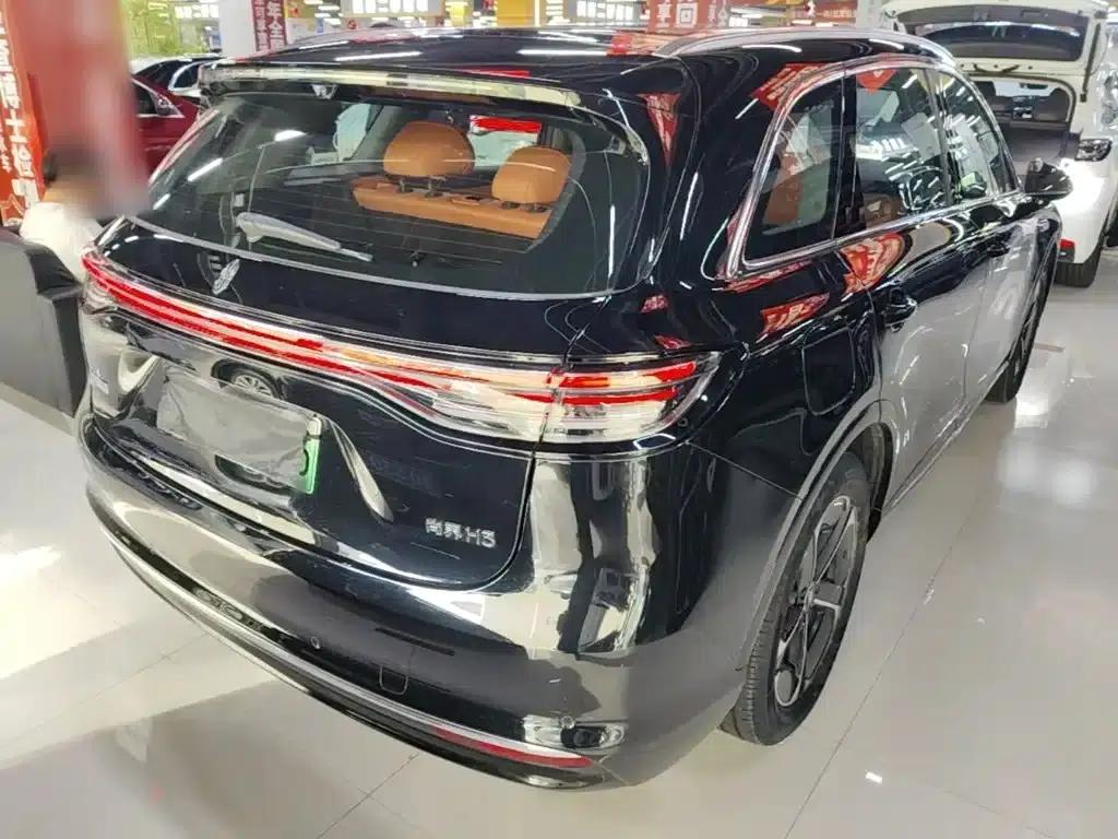 2025 Shangjie H5 Extended Range Max — миниатюра 5