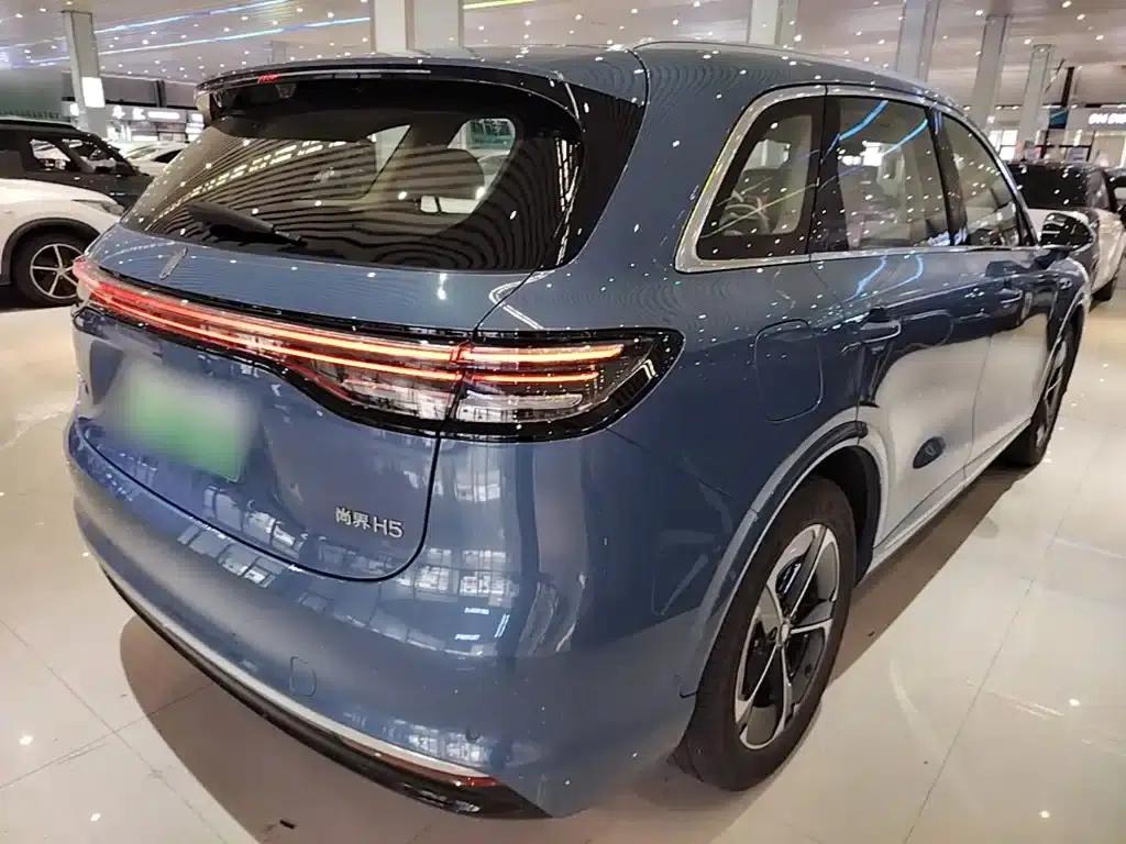 2025 Shangjie H5 Extended Range Max — миниатюра 7