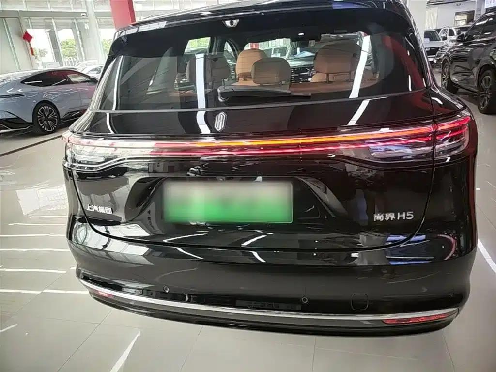 2025 Shangjie H5 Extended Range Max — миниатюра 6