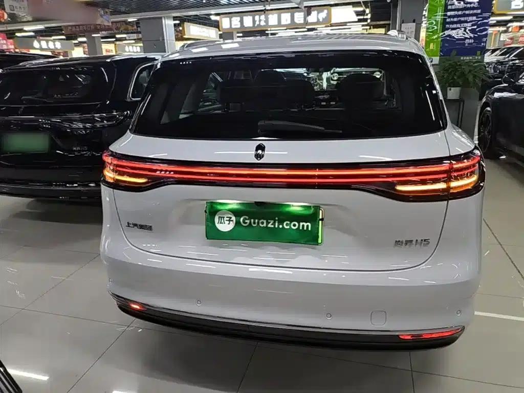 2025 Shangjie H5 Extended Range Max — миниатюра 6