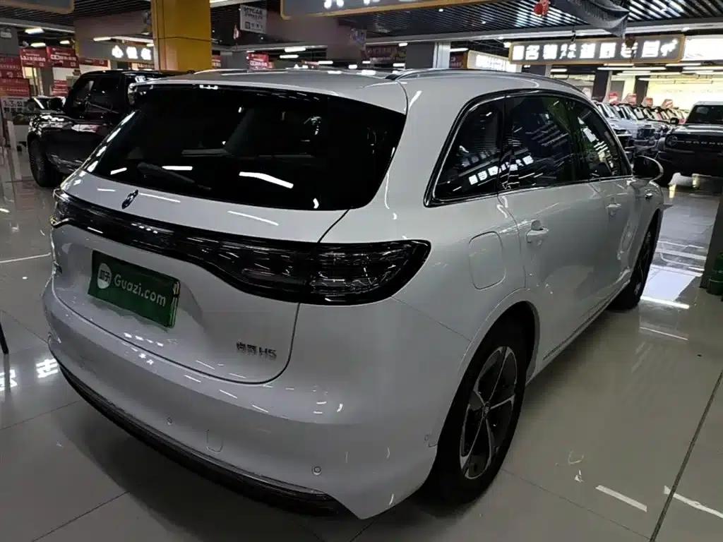2025 Shangjie H5 Extended Range Max — миниатюра 7