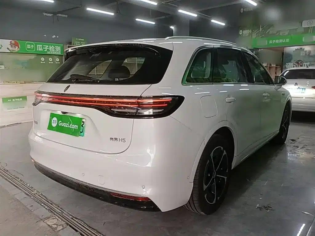 2025 Shangjie H5 Extended Range Max — миниатюра 7